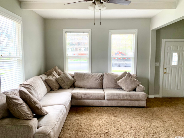 Living Room Natural Light