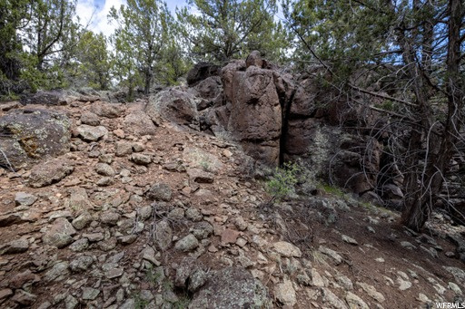 #240, New Harmony, UT 84757 — photo 8