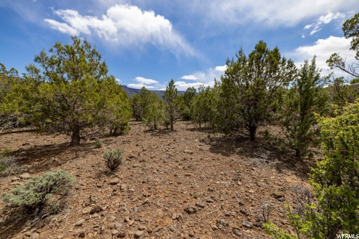 #240, New Harmony, UT 84757 — photo 9