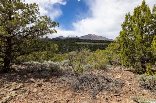 #240, New Harmony, UT 84757 — photo 12