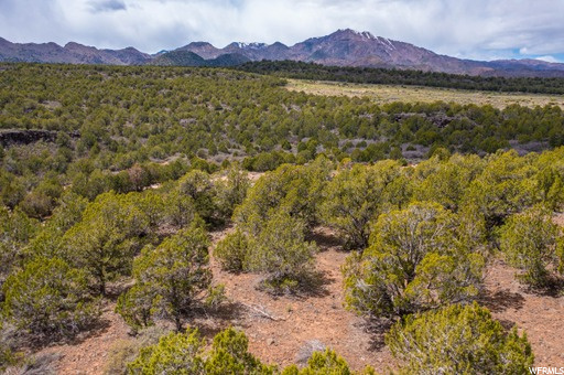 #240, New Harmony, UT 84757 — photo 7