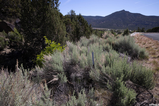 #241, New Harmony, UT 84757 — photo 11