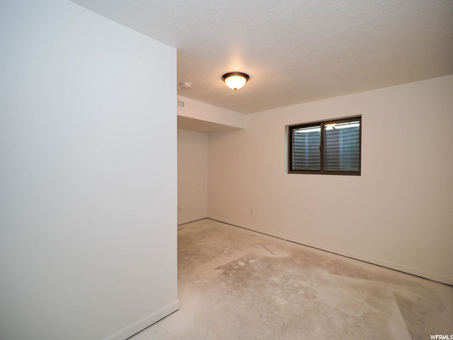 basement family room / flex