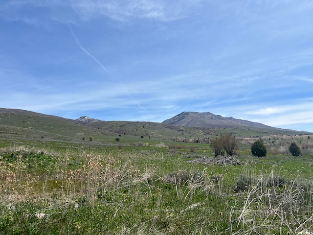 4558 N 4175 E #117, Eden, UT 84310 — photo 5