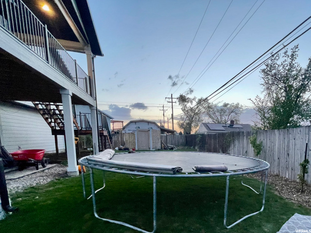 back yard