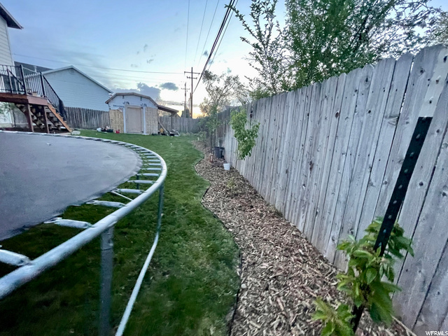 back yard