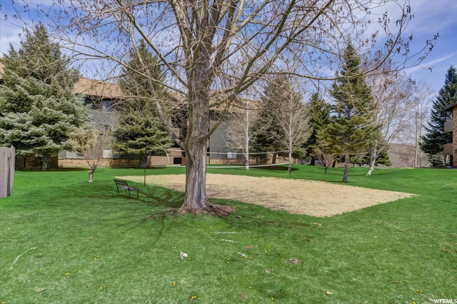 Volleyball Court