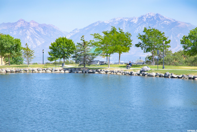 The Cove Fishing Pond
