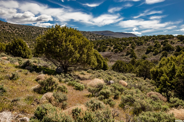 2746 E Boulder Top Loop #589, Heber City, UT 84032 — photo 8