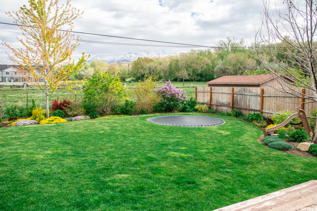 Back yard with in-ground trampoline