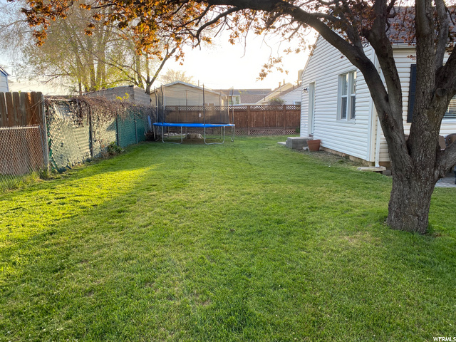Side Yard