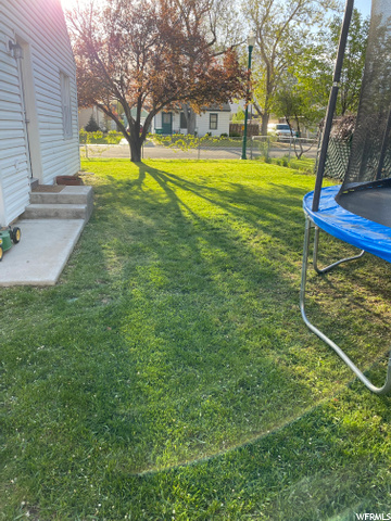 Back yard