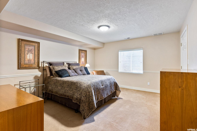 Downstairs bedroom