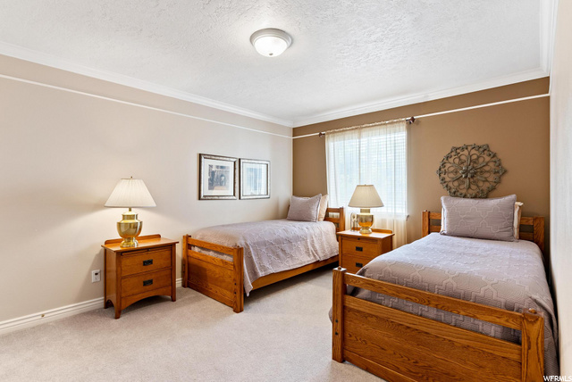 Downstairs bedroom