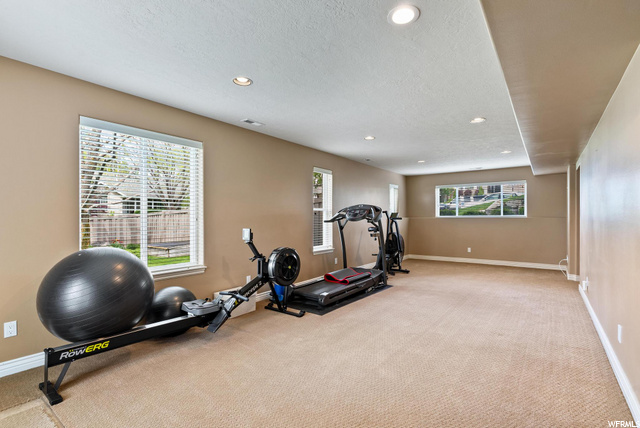 Downstairs exercise room/Family Room