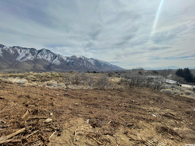 977 E Deer Crest Ln N #3, Alpine, UT 84004 — photo 4