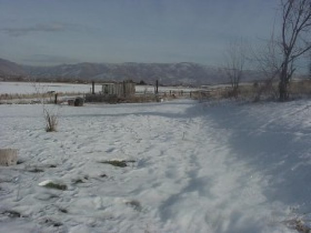 988 S 6800 E, Huntsville, UT 84317 — photo 7
