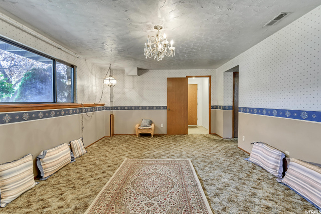 Family Room - Basement