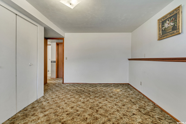 Basement Bedroom