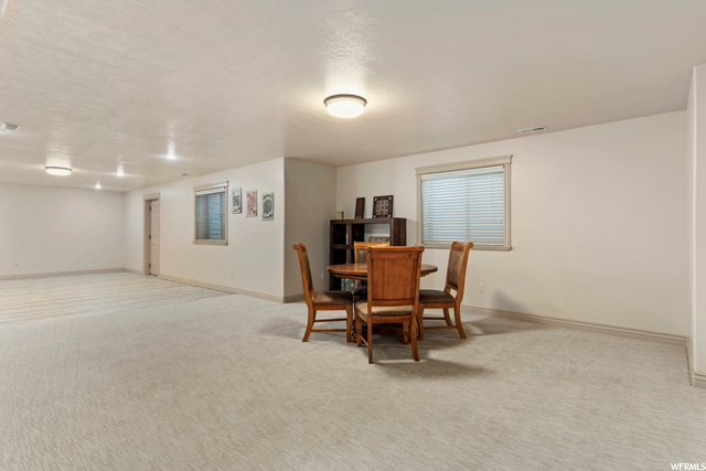 Basement family room
