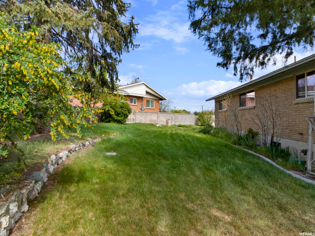West side of yard