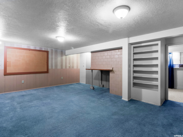 Downstairs Den