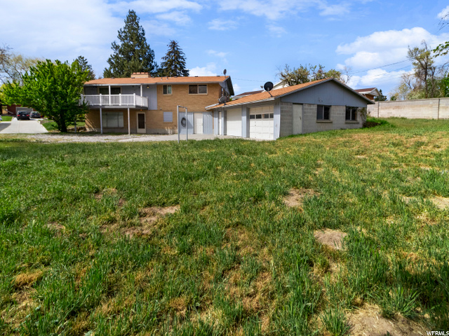 East side of yard