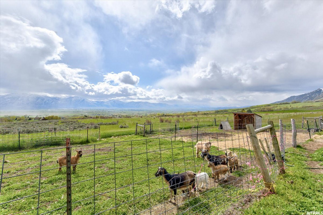 750 W 300 N, Mendon, UT 84325 — photo 4