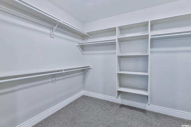 Walk In Master Closet sports Shelving for Addition