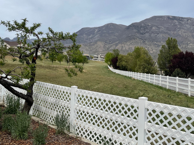 No backyard neighbors