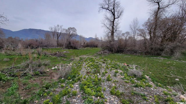 4670 E 2650 N, Eden, UT 84310 — photo 3