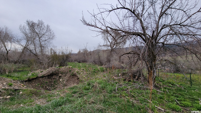4670 E 2650 N, Eden, UT 84310 — photo 9