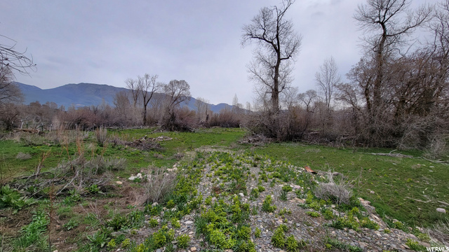 4670 E 2650 N, Eden, UT 84310 — photo 4