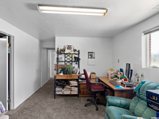 Basement Family Room