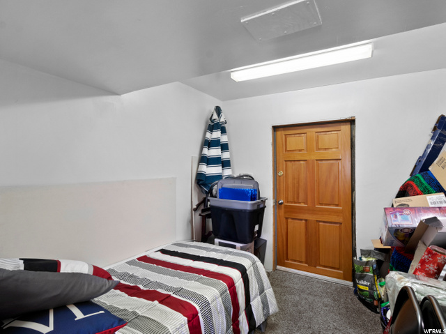 Basement Flex Room