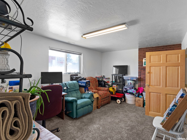 Basement Family Room