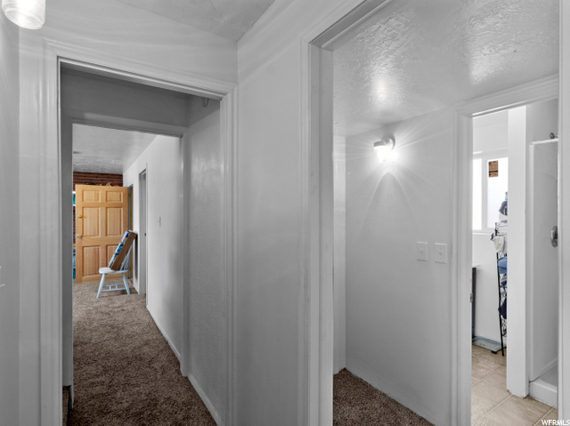 Basement Hallway