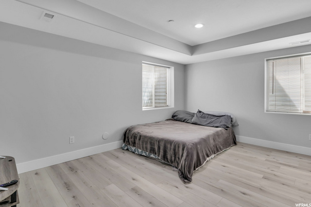 Flex/Bedroom in Basement