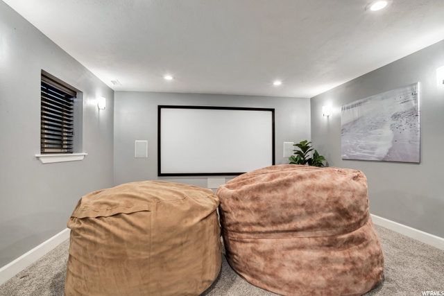 Theater Room