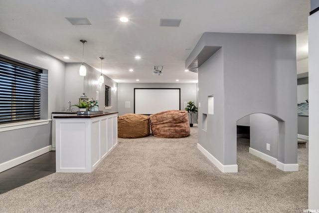 Wet Bar & Theater