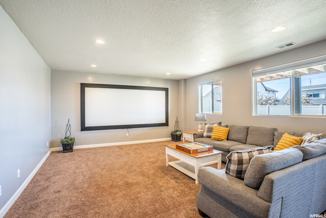 Movie screen and projector