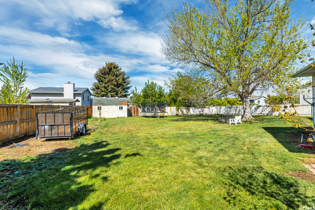 HUGE backyard