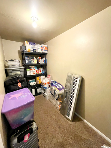 Storage Room in Family Room