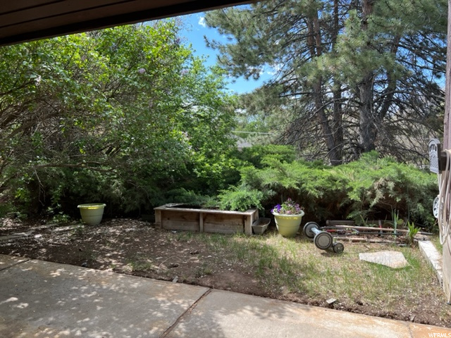 side yard