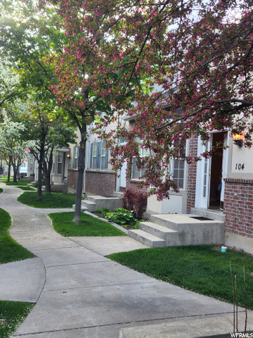 Lane in the Spring