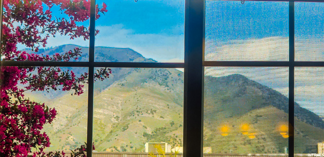 Kitchen Window View