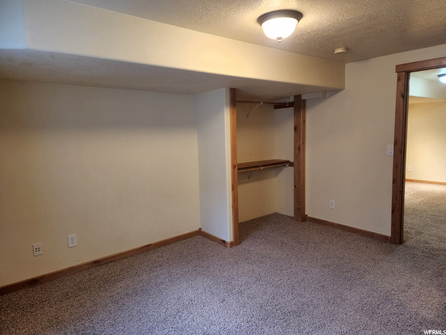Lower-Level Bedroom closet
