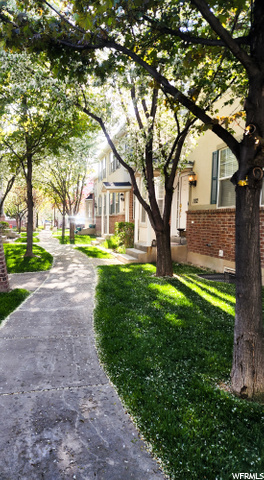 Shady lane out the front door