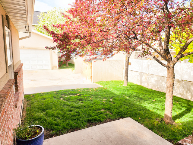 Out the back door