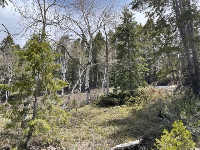 #9, Heber City, UT 84032 — photo 11